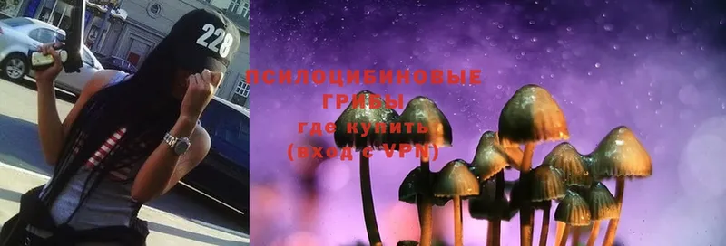 Галлюциногенные грибы MAGIC MUSHROOMS  hydra вход  Нерчинск 