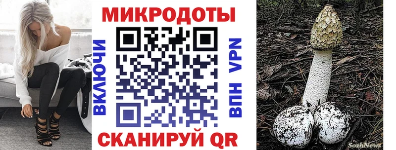 Псилоцибиновые грибы MAGIC MUSHROOMS  купить  сайты  Нерчинск 